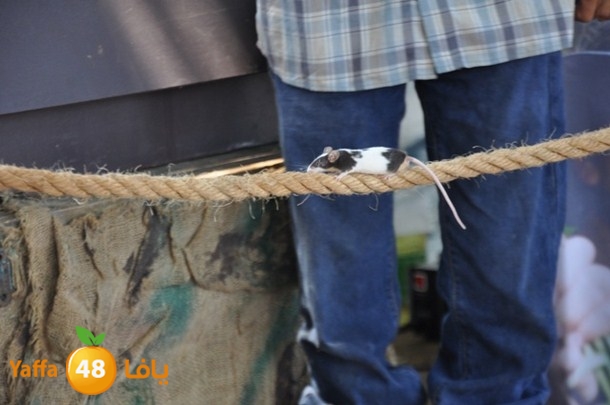 schoool okhowa 3arafa (13).JPG